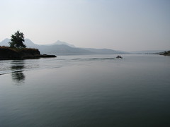 Pavana Lake