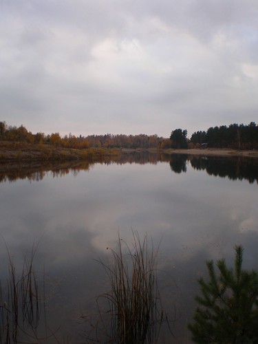 autumn lake nature kumla säbylund