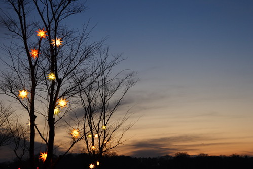 christmas sunset sky cloud tree japan geotagged branch illumination chiba 日本 千葉県 sodegaura 千葉 イルミネーション mrhayata 東京ドイツ村 袖ヶ浦市 geo:lat=354039622 geo:lon=1400593814