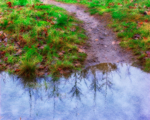 favorite reflection green nature water grass photoshop puddle outside outdoors effects outdoor path walk over grow ground best reflect fav mybest effect liquid hdr orton lucisart lucis photomatix rankings impressedbeauty coolestphotographers