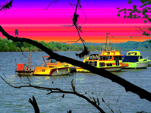 pink orange color tree water silhouette sign yellow photoshop river boats boat dock colorful branch purple branches huntington digitalart vivid wv computerart gradient modified enhanced ohioriver allrightsreserved nowake photoshopart ©allrightsreserved rcvernors altereduniverse