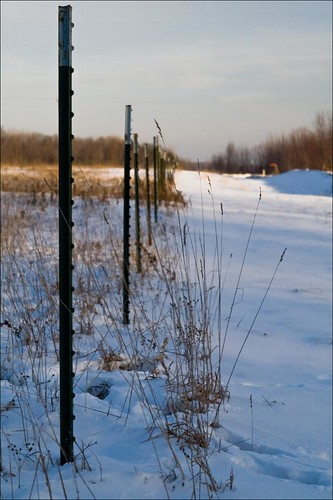 fence landscape post rebelxt tamron2875f28 angleiron