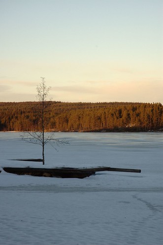 bridge sunset lake tree ice is sweden lappland lapland träd solnedgång brygga sjö fredrika viskasjön