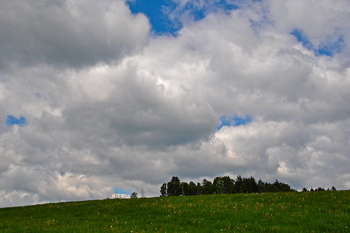 trees sky clouds landscape geotagged austria scenery meadow landschaft styria copse wäldchen wenigzell