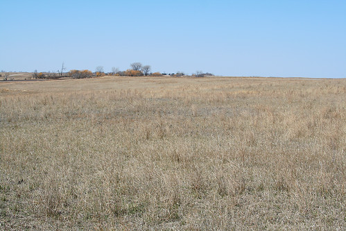 grass scenery northdakota hannaford