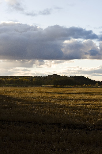 autumn light sunset fall field hail canon john landscape 50mm swedish hay 18 höst nyköping summmer landskap koinberg koinis