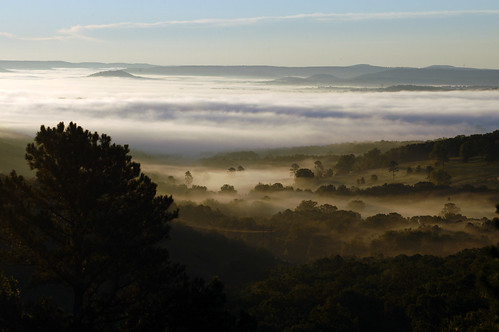 fog landscape scenery valley arkansas eurekasprings