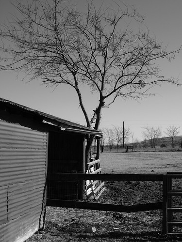 blackandwhite bw barn rural texas farm olympus mf1 huntcounty e410 campbelltx 28mm28zuiko
