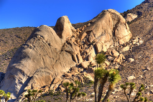 california landscape nationalpark rocks desert joshuatree wikipedia geology yucca naturesfinest saddlerock 200711
