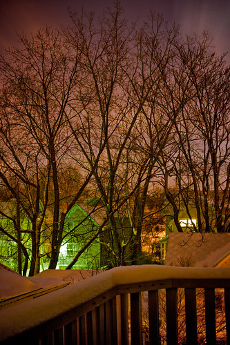 longexposure trees winter snow cold night michigan grandrapids february artificiallight citylight movingclouds frombalcony