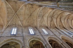 Saint-Maximin-la-Sainte-Baume, Basilique Sainte-Marie-Madeleine - Photo of Bras