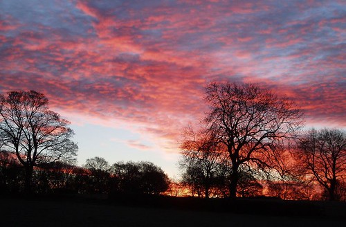 trees parish clouds sunrise farm westmidlands allesley pikerslane bigpicture2008 coventryandwarwickshire