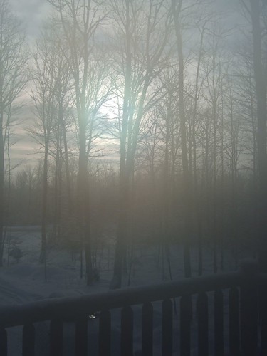 winter mist snow tree ice fog sunrise michigan 2007 skibrule upperpenisular