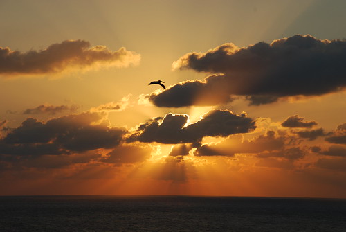 sunrise nikon pelican cancun d80