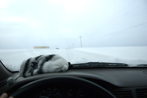 morning winter snow hat car landscape highway driving outdoor snowy live country blowing dashboard blizzard wheatfields diffusedlight