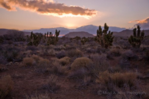 redrockcanyon sunset usa sun sunlight mountain color sunshine sunrise landscape photo desert nevada picture soutwest