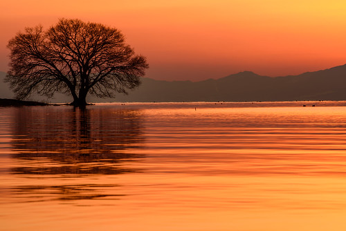 米原市 滋賀県 japan 琵琶湖 湖 lake 夕景 sunset