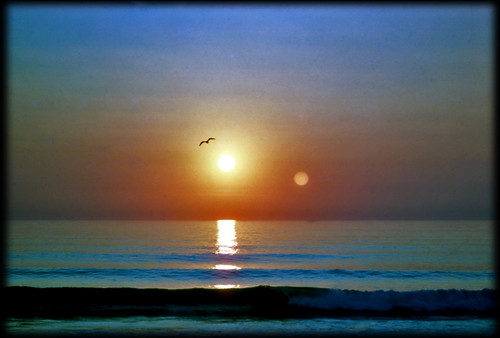 blue sunset sea orange sun colors contrast seagul