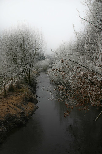 winter tree creek canon frost december 300d explore brook digitalrebel baum veerse 2007 reif klauspeter flüsschen