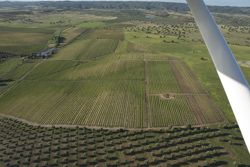vineyard aerial cortesdecima winerycortesdecima