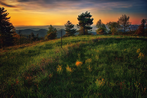 morning flowers trees sunset color canon fence spring cool day cloudy meadow treeline hdr blueridgeparkway 60d