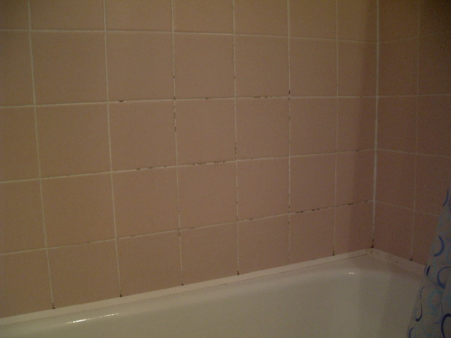 Bathroom wall - BEFORE