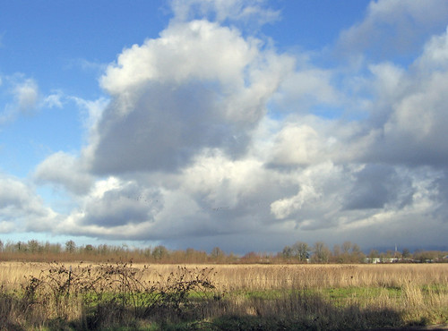 blue winter sky clouds oregon eugene thatfield