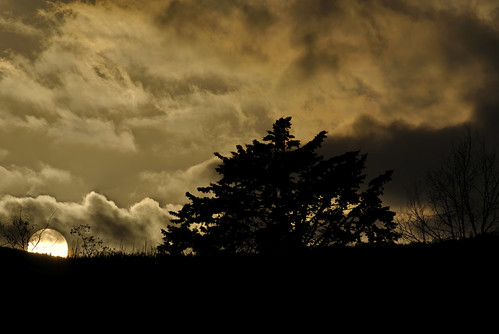 light sunset italy sun clouds skyscape soleil nikon italia nuvole explore tuscany d200 nikkor toscana sole nuages 2008 albero arbre italie maremma 18200mmf3556gvr cinigiano treesubject
