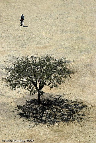 tree mexico person photography sand photographie view aerialview aerial shade oaxaca elevated montealban aérienne huntley aerienne elevatedview photographieaérienne photographieaerienne robhuntley robhuntleyphotography