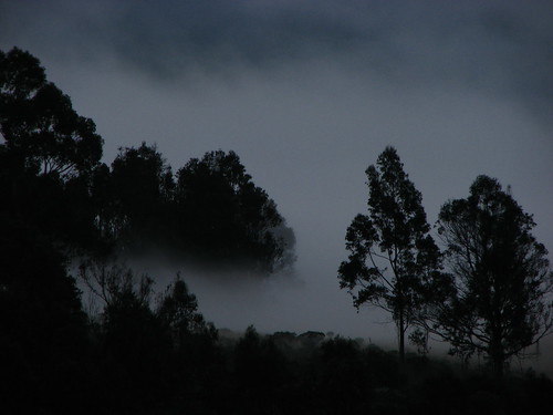 fog sunrise colombia amanecer represa neblina embalse cundinamarca guatavita sesquilé tominé ambiro ambiró