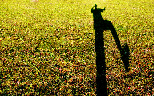 shadow grass sunshine shooting dry sunset silhouette profile shape