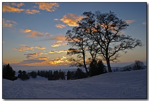 winter sunset snow tree moscow idaho golfcourse universityofidaho palouse