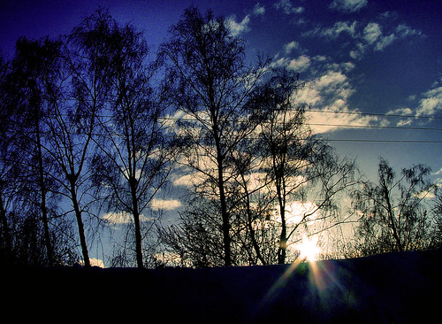 winter sunset sky cloud sun tree poplar russia 2008 otradnoe moscowregion odintsovo