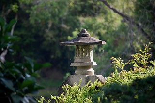 Zen Lantern