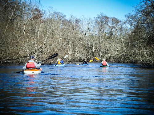 southcarolina kayaking paddling edistoriver lcu lowcountryunfiltered greenpondlanding whetstonelanding