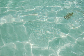 Closeup of Pool