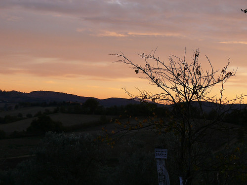 sunset sky italy clouds tuscany sunsetlight maremma leporino
