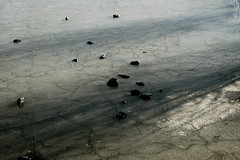 Frozen Ponds - Photo of Saint-Étienne-de-Brillouet