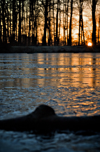 lake ice sunrise see bad eis wald sonnenaufgang altes waldbad bramstedt