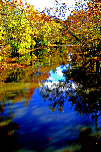 autumn fall leaves river colorful warm oaks prarie themeautumn