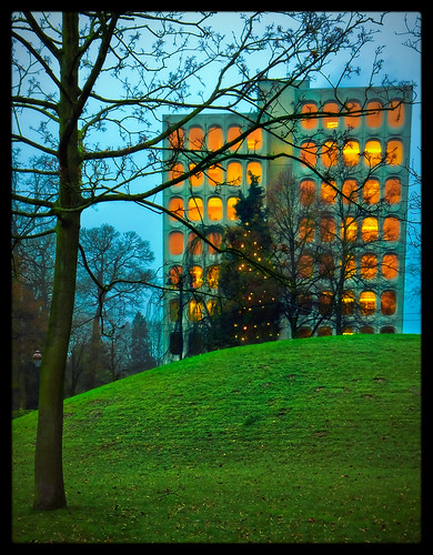 brussels tree grass architecture night landscape magic fairy 365 bulding onepictureperday photodujour onepictureaday project365 unephotoparjour project366 gillespinault scenicsnotjustlandscapes akigilles gillespinault366 akietgilles366