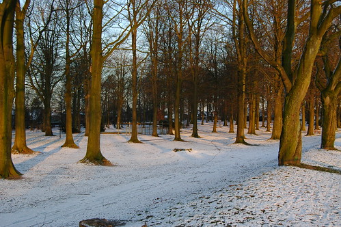 park morning schnee winter snow sunrise germany nikond70s morgen schleswigholstein unedited 1855mmf3556gii hohenwestedt
