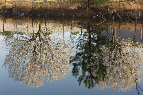 reflections march spring pond flora va yorktown 2008 8100georgewashingtonmemorialhighway