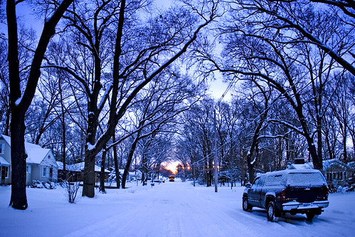road trees winter snow cold sunrise freezing tunnel superbmasterpiece