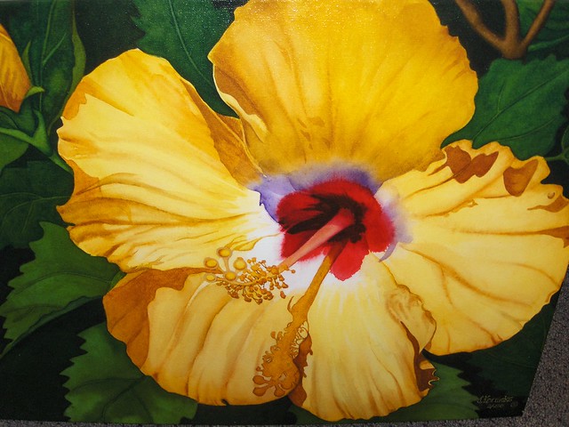 oil painting hibiscus | Flickr - Photo Sharing!
