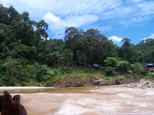 rainforest jungle tamannegara malaisie