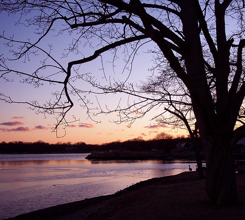 sunset tree water silhouette river twilight quiet silhouettes lonely karmapotd