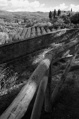 travel trees blackandwhite bw italy wall canon mono italia view path walk horizon tuscany clickykbd fields beyond railing toscana overlook arezzo bwconverted sd1000 sopahide