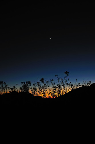 sunset moon newmexico twilight foryou silhoutette nikon18200mmf3556gvr nikond300