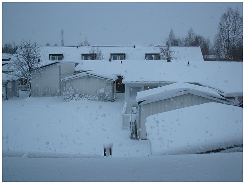 winter snow window out view sweden 127 sverige skellefteå windown kotten anderstorp skelleftea bladgatan zzx skellafteå